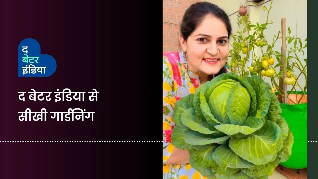 Dr. Anshu rathi gardening