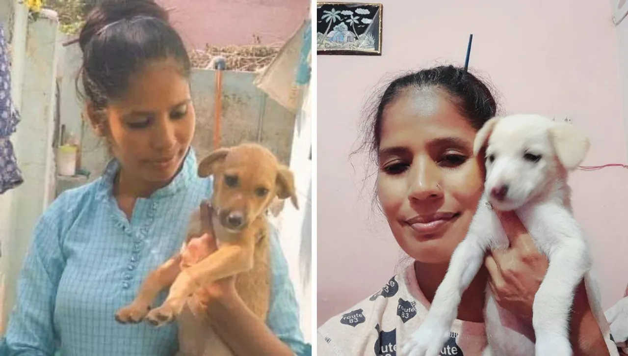 Animal Lover (2)