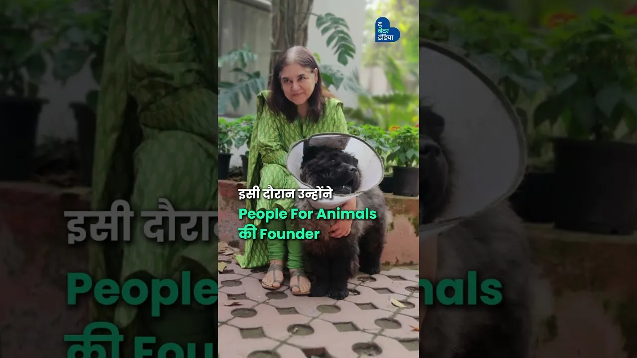 इस अस्पताल ने बचाईं 40,000 बेज़ुबान ज़िंदगियाँ  | Karunashram | Ashish Goswami PFA Wardha