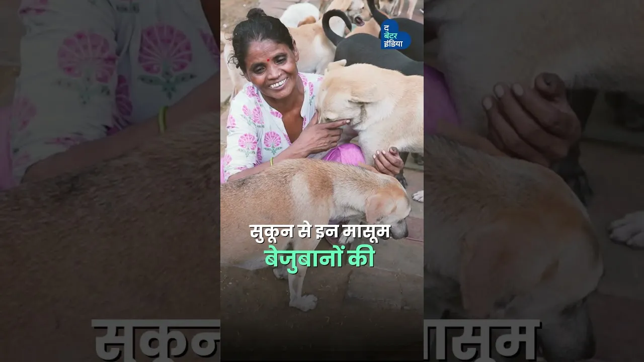 झोपड़ी में रहकर, भीख मांगकर, संवार रही हैं बेजुबानों की जिंदगी | Mother of 80 Dogs | Animal Love