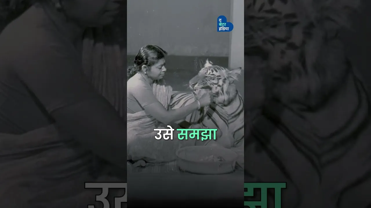 एक बाघिन और एक परिवार की अनकही प्रेम कहानी | Wild Love | Valentine’s Day | Khairi Tiger