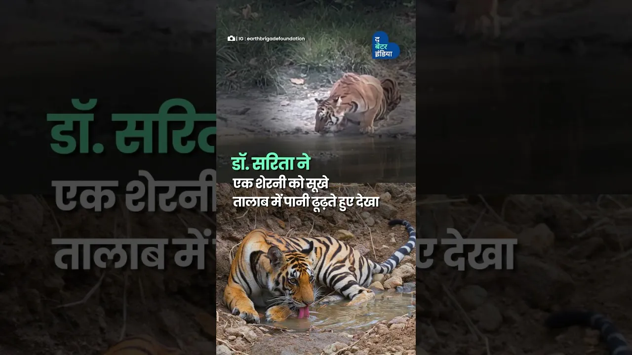 Solar Pumps लगाकर जंगल की प्यास बुझा रहा यह कपल | Solar Pumps | Save Wildlife