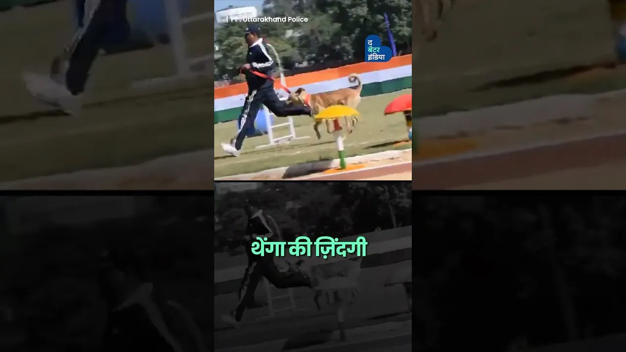 कभी सड़क पर बेसहारा था आज देश का रखवाला है थेंगा | Street Dog Hero | Animal Love | Thenga | K9 Hero
