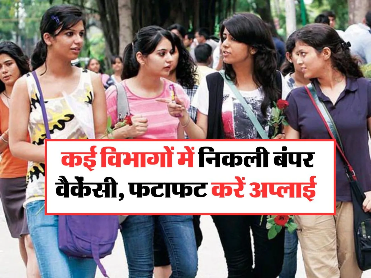 Sarkari Job 2024: कई विभागों में निकली बंपर वैकेंसी, फटाफट करें अप्लाई