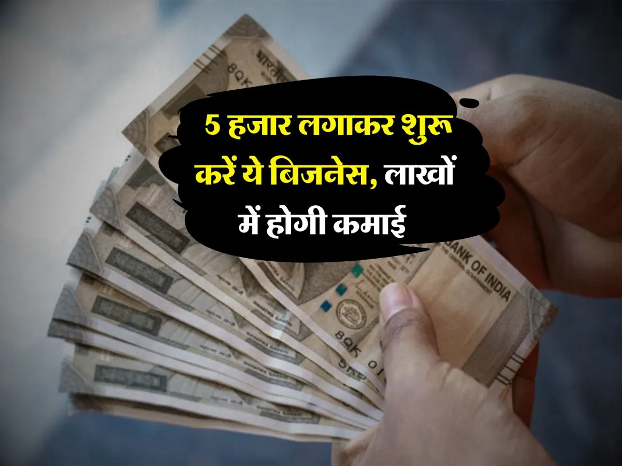 Business Idea : 5 हजार लगाकर शुरू करें ये बिजनेस, लाखों में होगी कमाई 