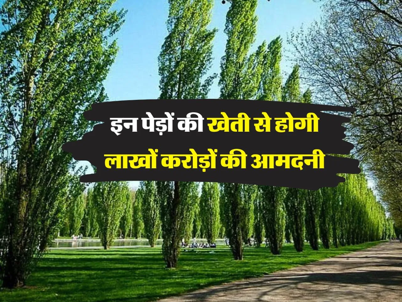 Business Idea : इन पेड़ों की खेती से होगी लाखों करोड़ों की आमदनी
