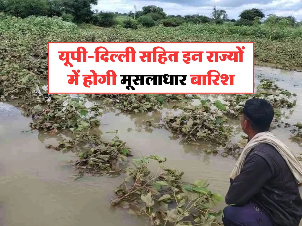 Aaj Ka Mausam : यूपी-दिल्ली सहित इन राज्यों में होगी मूसलाधार बारिश
