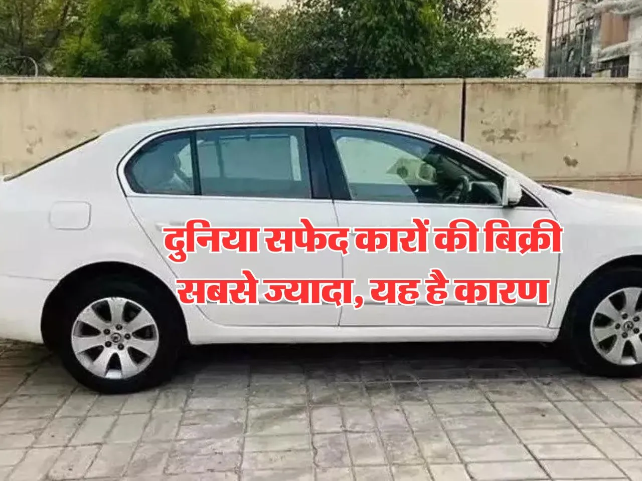 Auto News : दुनिया सफेद कारों की बिक्री सबसे ज्यादा, यह है कारण