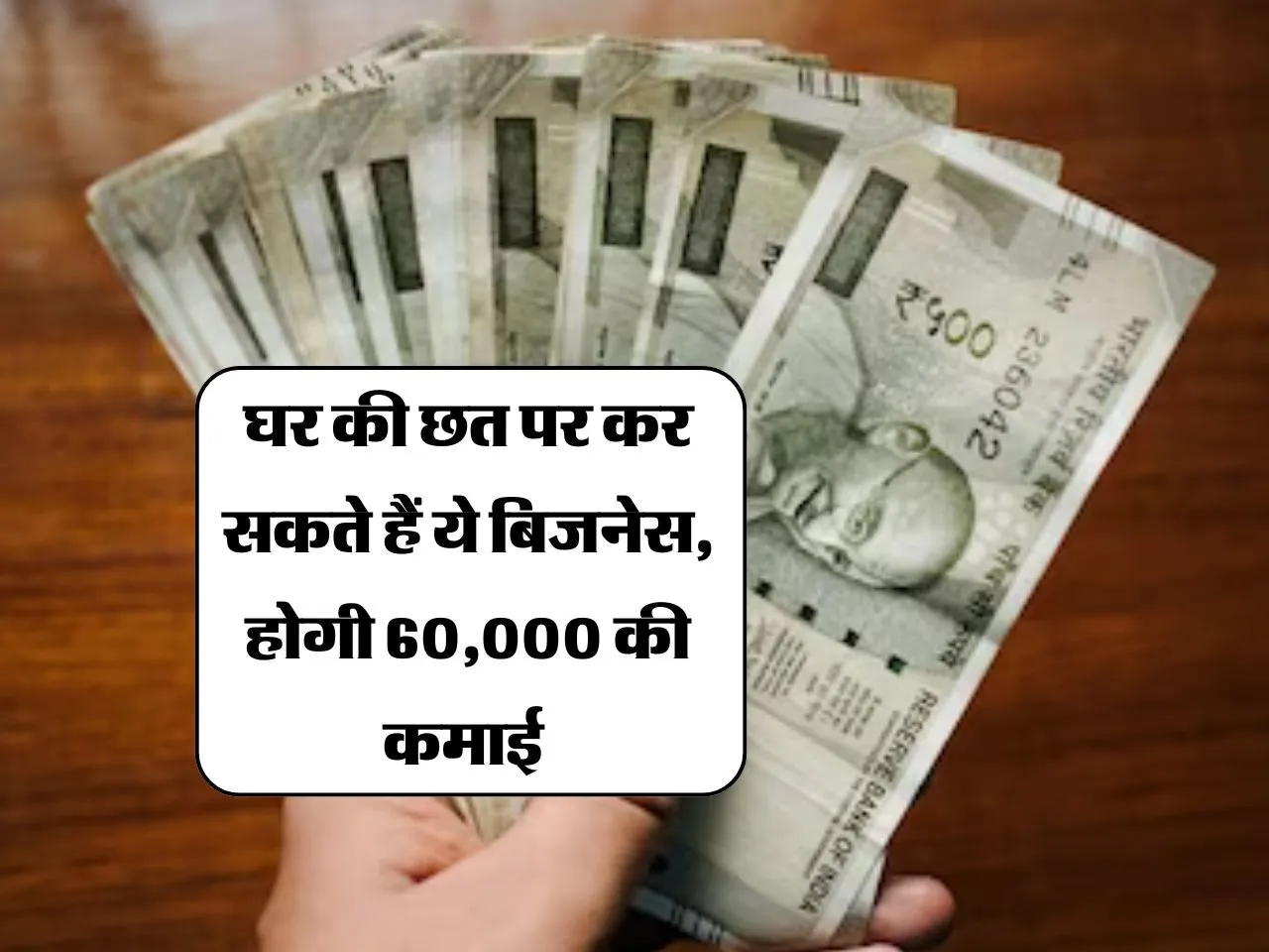 Business : घर की छत पर कर सकते हैं ये बिजनेस, होगी 60,000 की कमाई 