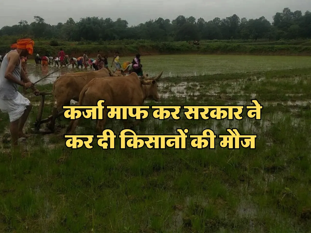 Crop loan waiver : कर्जा माफ कर सरकार ने कर दी किसानों की मौज