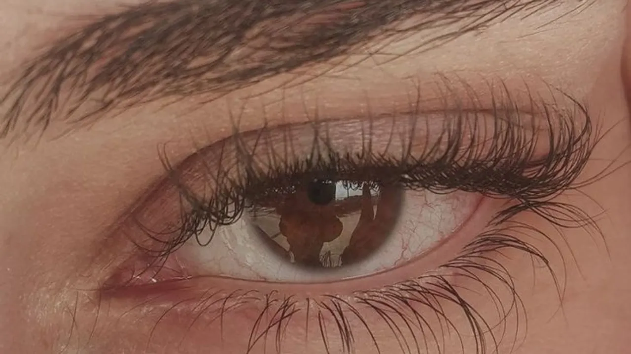 Eyelashes(Pinterest).png 