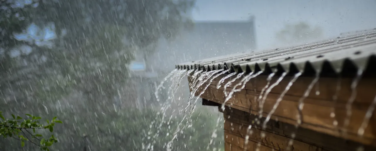 Rainy season.png