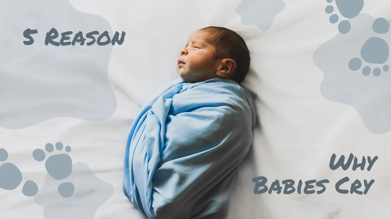 Why Babies Cry 