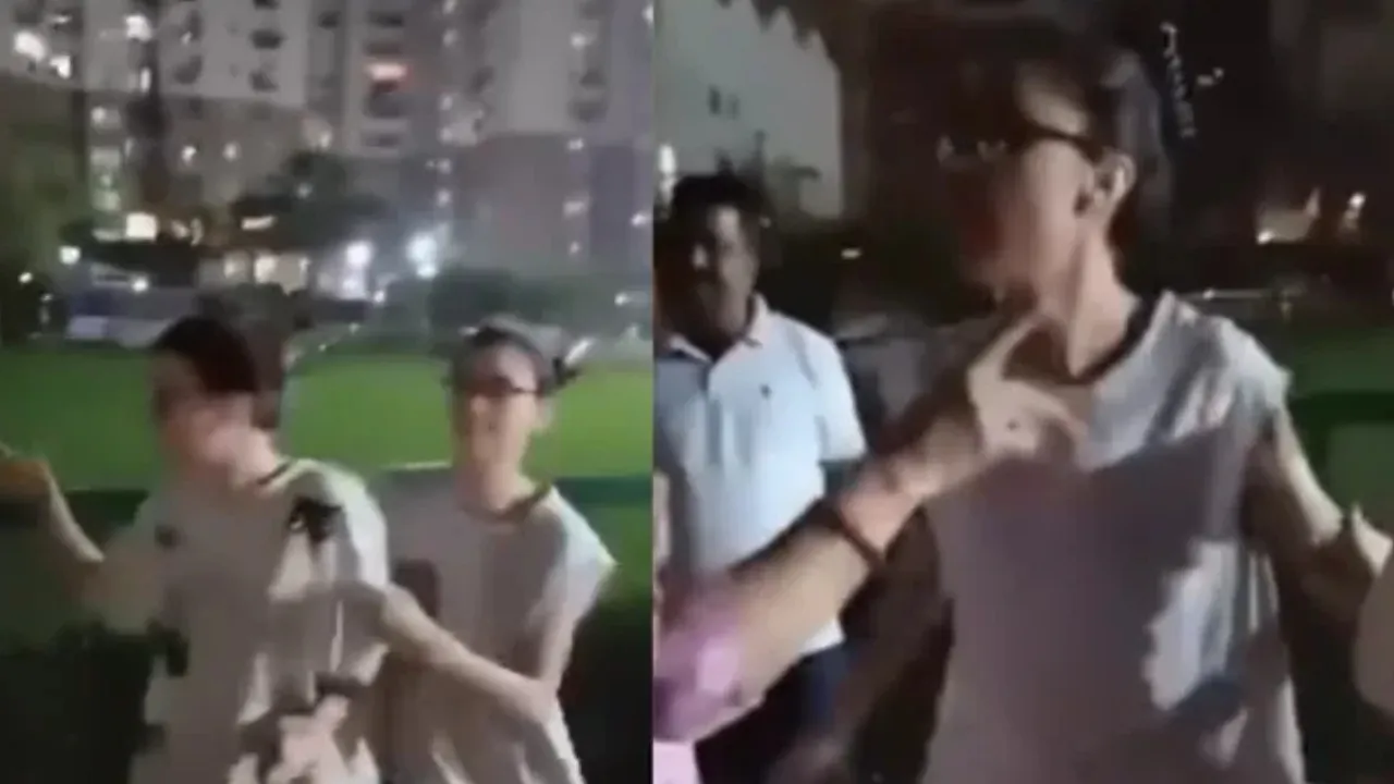 Noida Woman Slaps Elderly Man During Quarrel Over Pet Dog