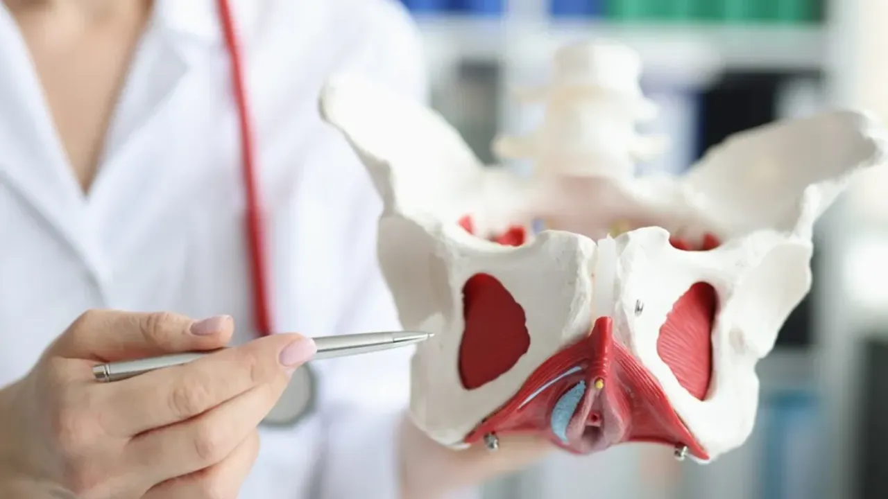 Pelvic Organ Prolapse 