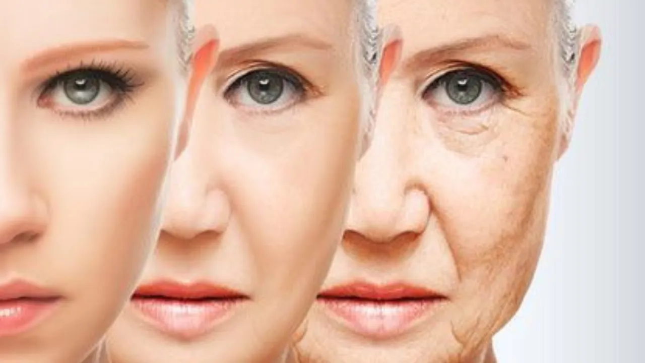 anti aging 