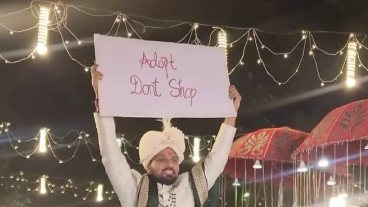 Viral Video