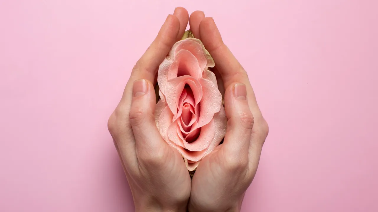 Know your Vagina 