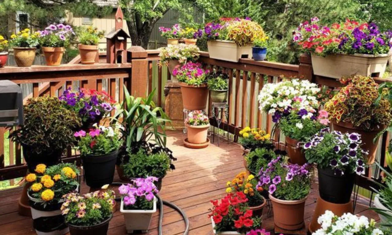 garden