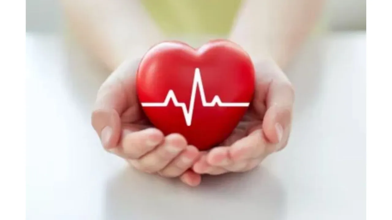 These Are The Bad Habits Which Increase The Risk Of Heart Attack