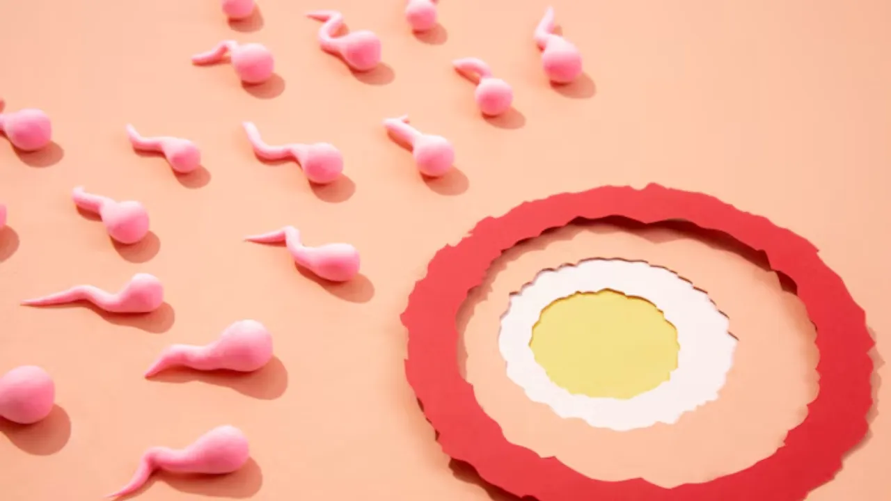 Egg Freezing