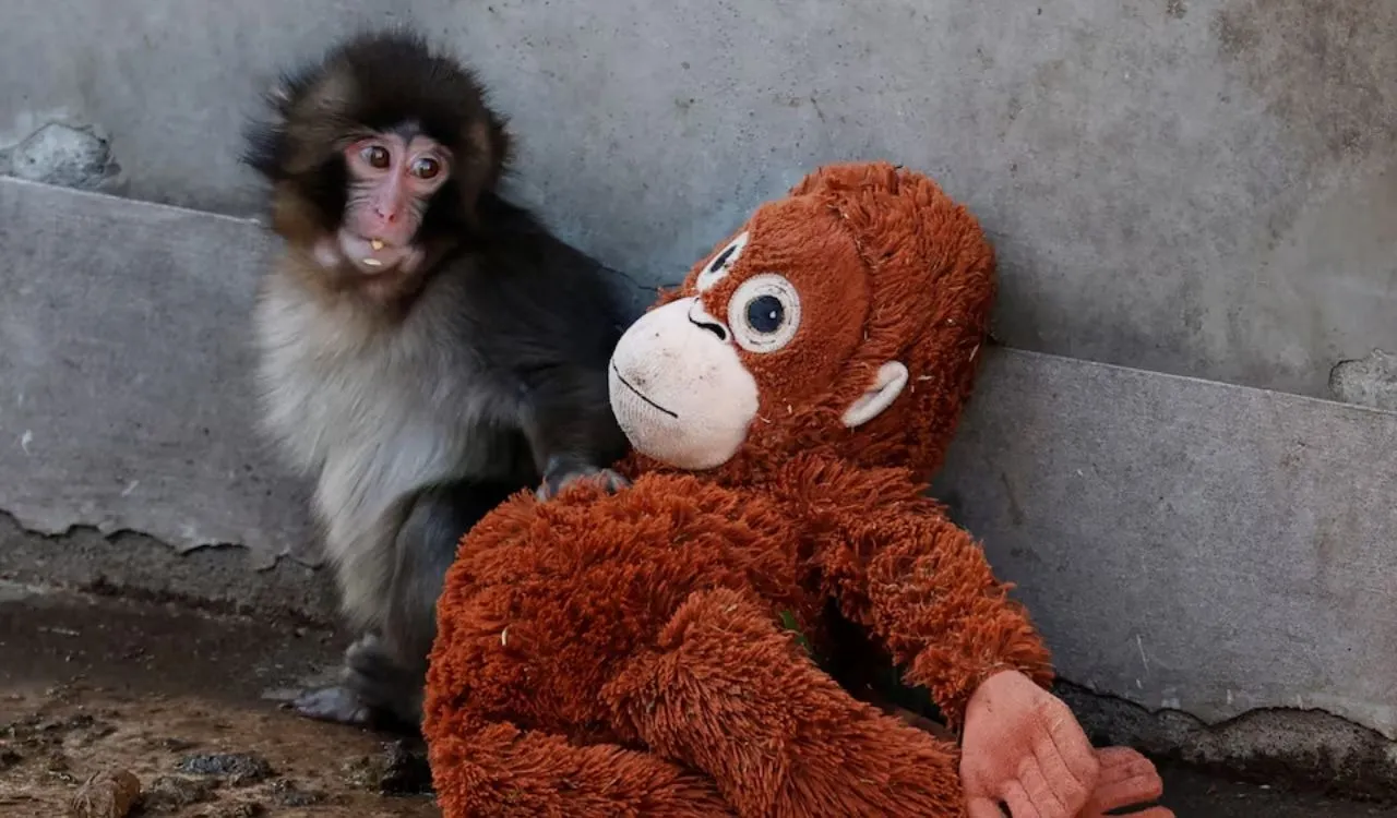 Untitled design (43)