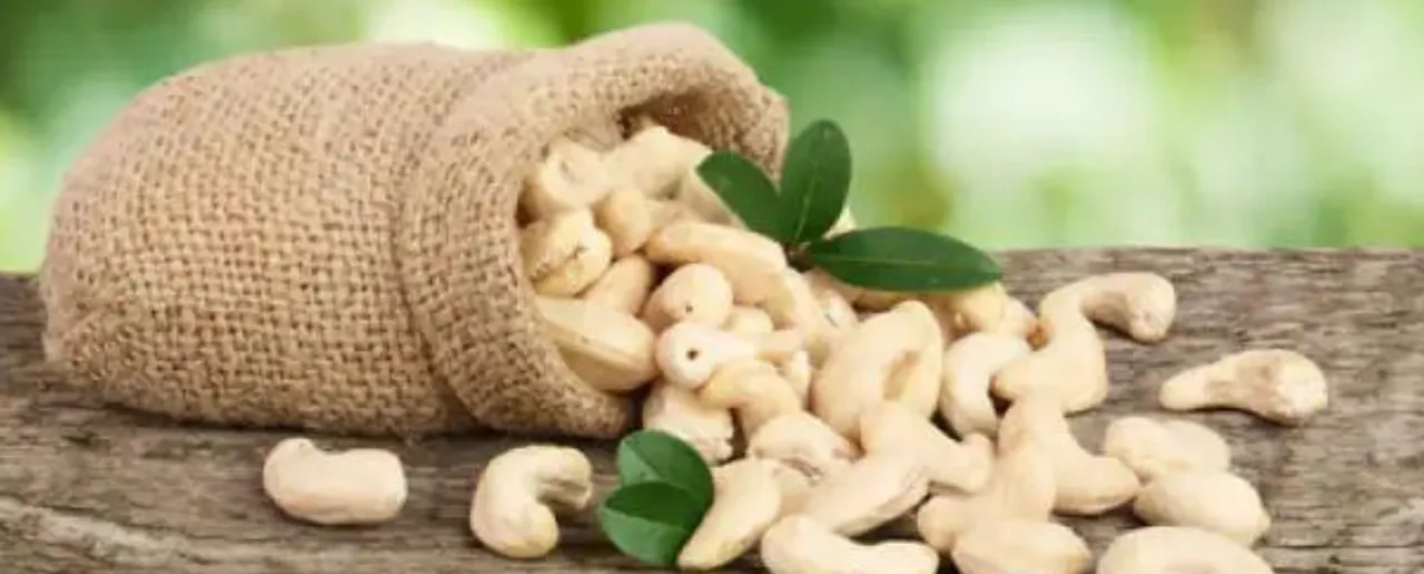 Disadvantages of Cashews