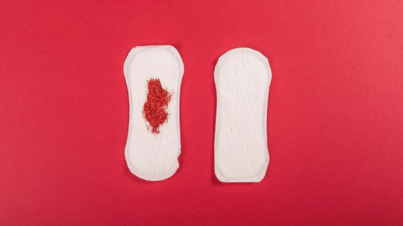 Period Sex(FREEPIK)