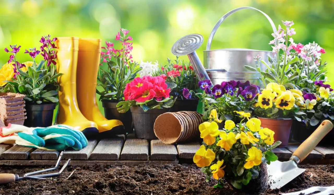 Gardening(Good House Keeping)