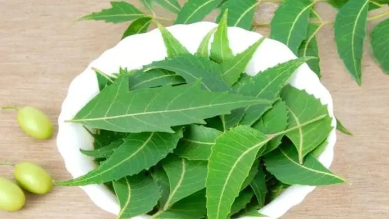 neem