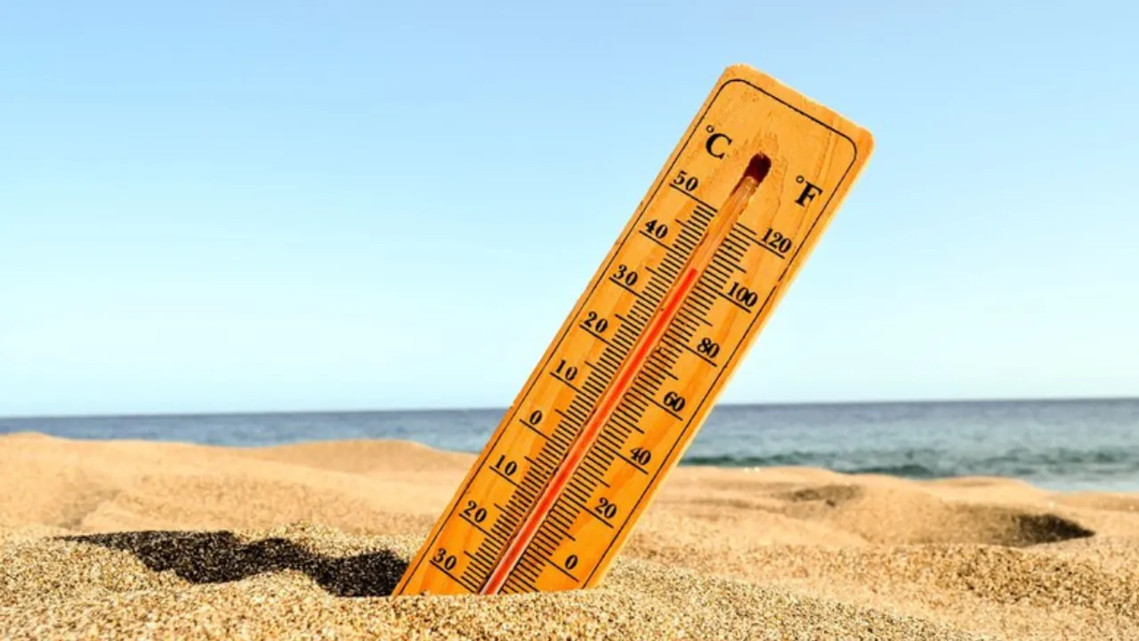 Summer Season(freepik)