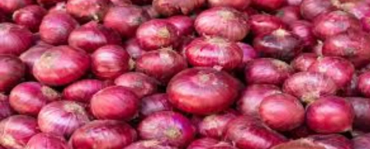 raw onions