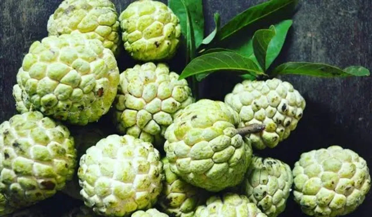 Benefits Of Sitaphal