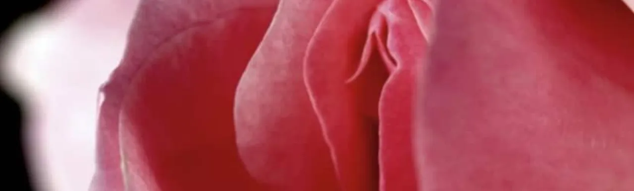 Vagina 0000. png