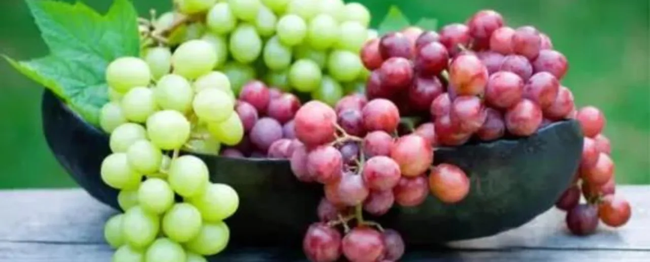 Grapes.png