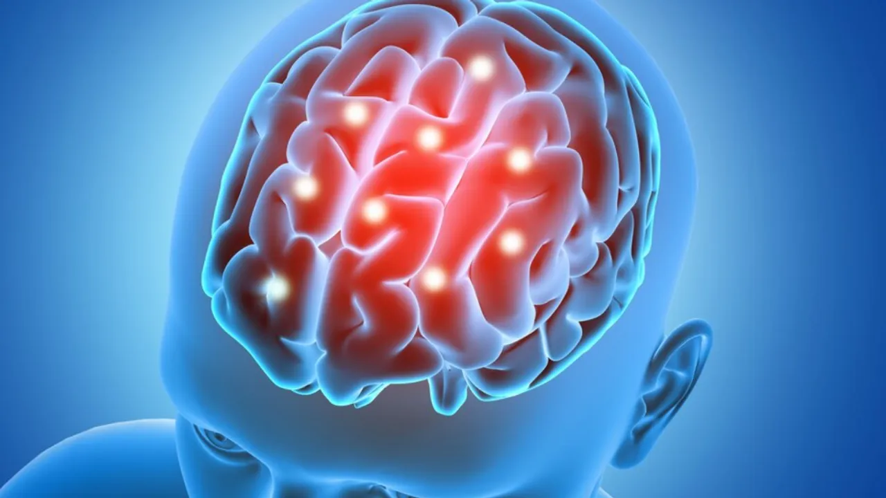 brain).png