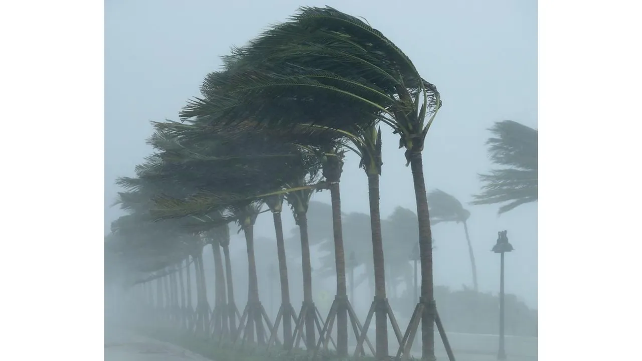 Storm (DW).png