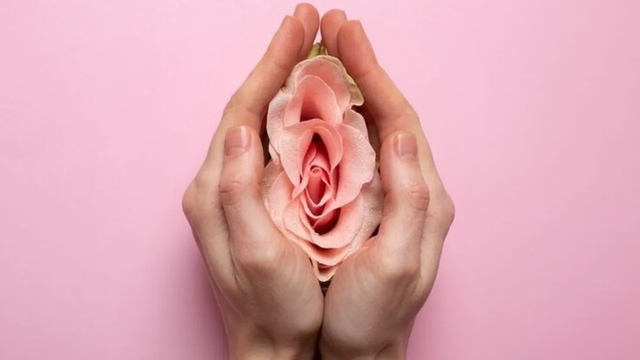 Understanding the Difference Between Vagina and Vulva