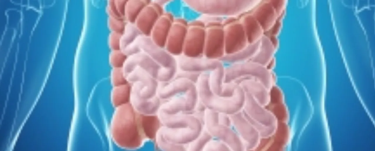 intestine health, credit medlineplus.gov