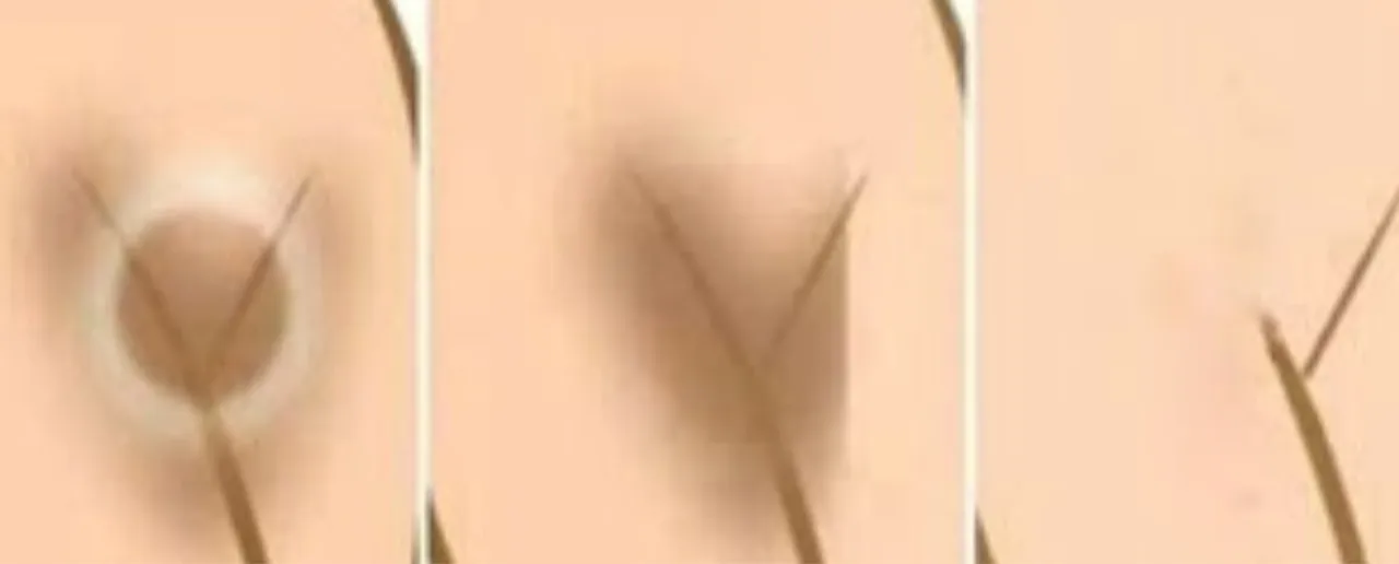 Brighter .png