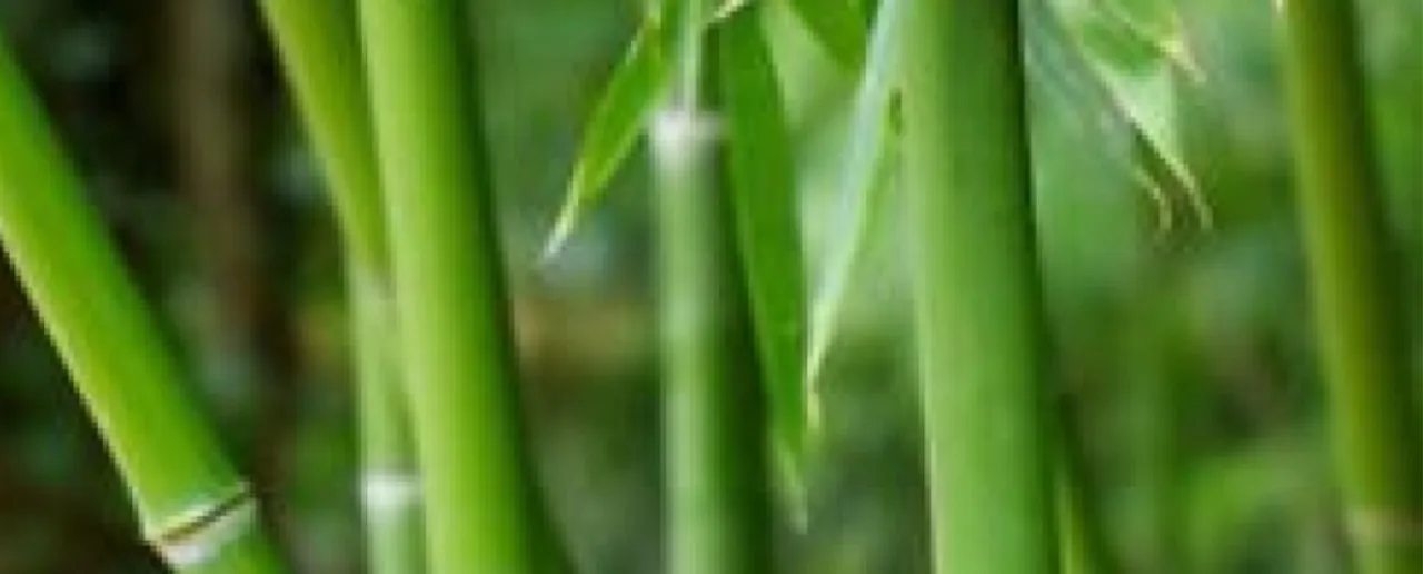 png_20230221_083504_0000.png