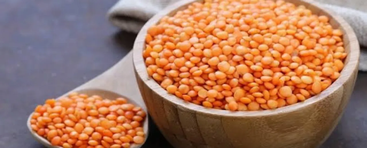 मसूर दाल 