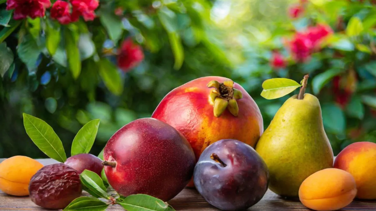 Monsoon fruits