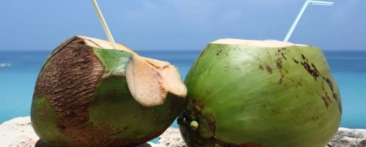 Benefits of Coconut Water