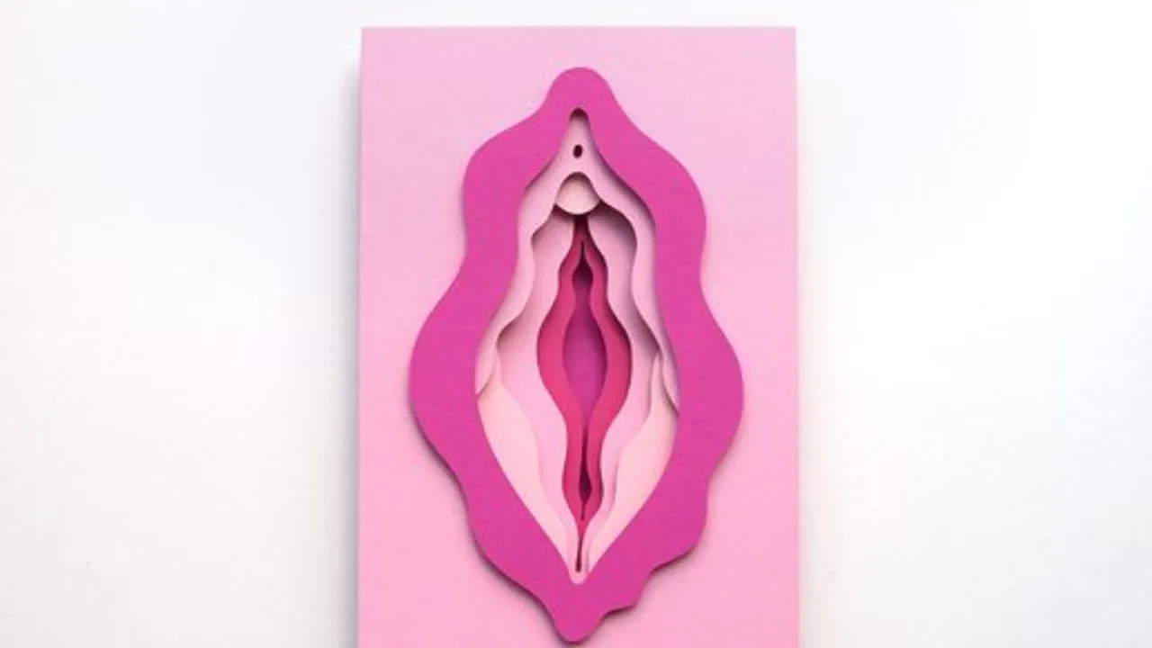 vulva (pinterest)