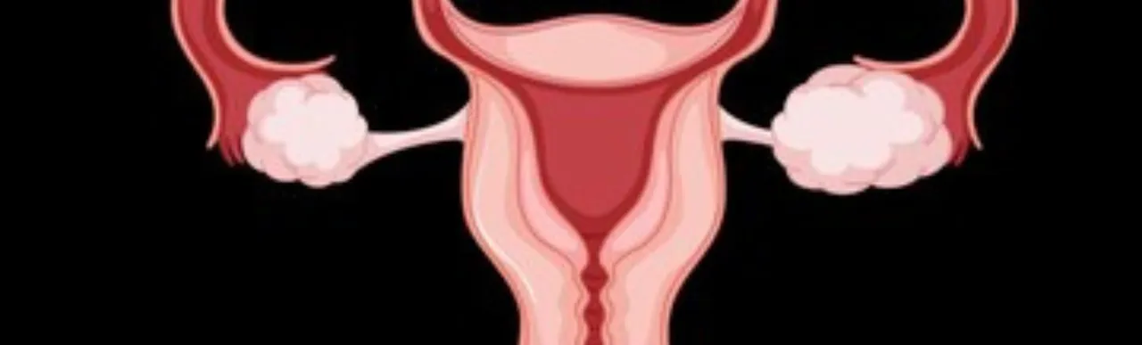 ovulating 00. png