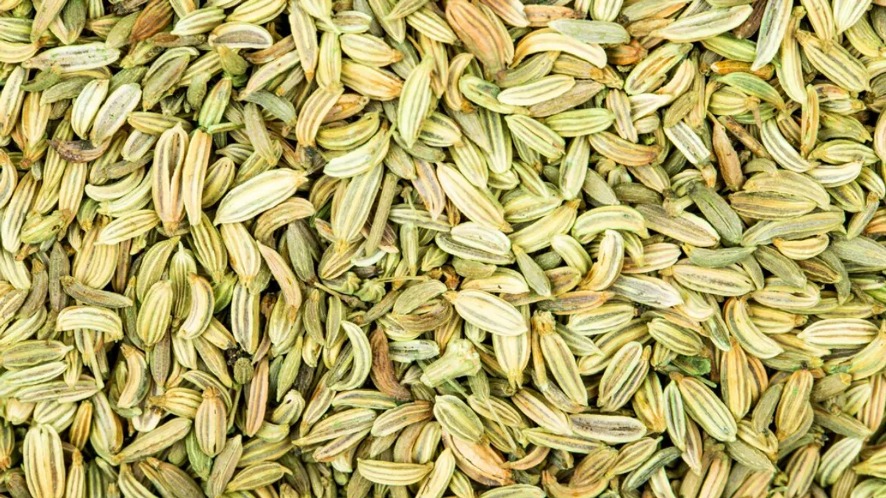 Fennel For Skin(Freepik)