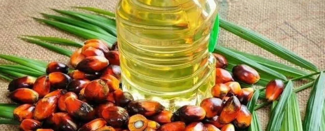 Palm oil