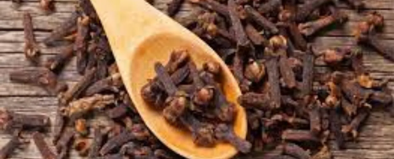 benefits of cloves