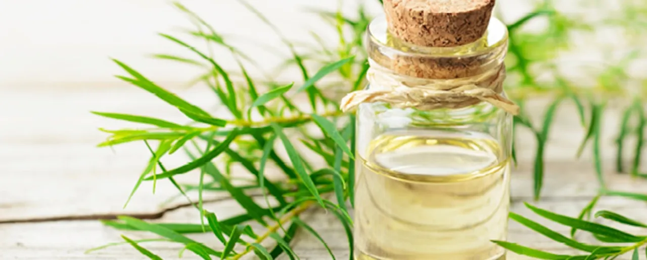 Tea Tree oil